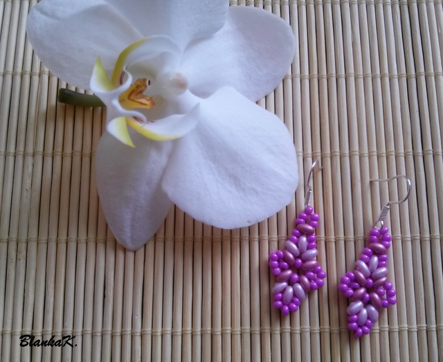 CAM00651